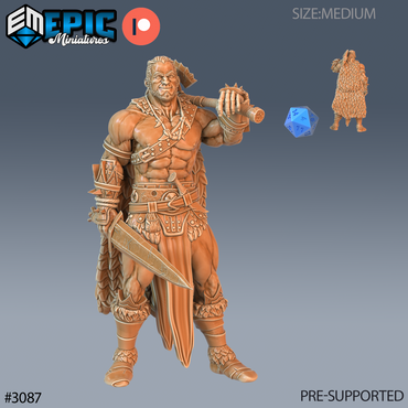 Barbarian Player Character