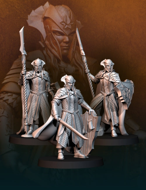 Armoured Wood Elves - King's Guard