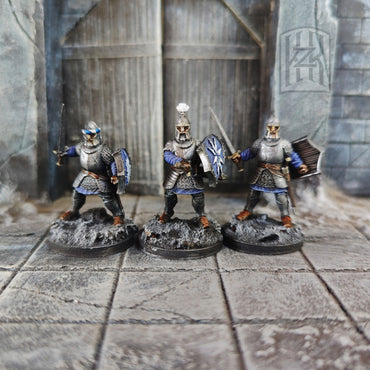 High Men of the North Warriors - Swords