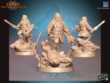 Dwarf Hero