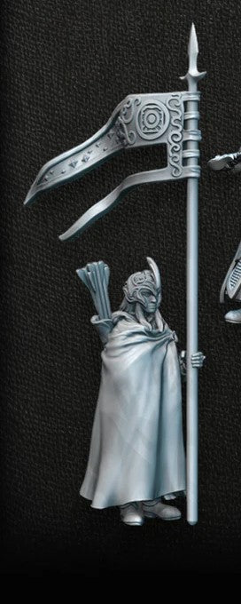 Golden Wood Elf Warriors - Captain Pack