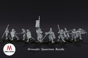 Arnaudin Warband