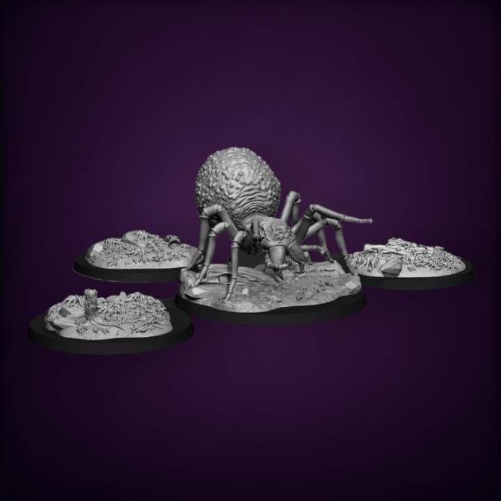 Queen of Spiders with Broodlings