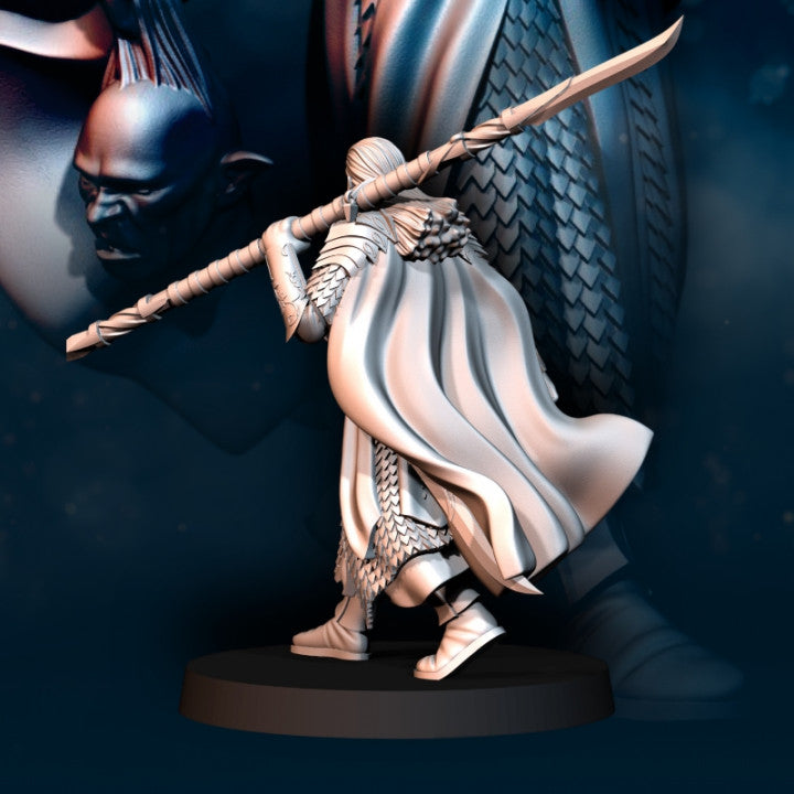 Armoured Wood Elf Captain