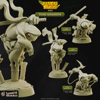 Ninja Assassin Toads  - Cast n Play