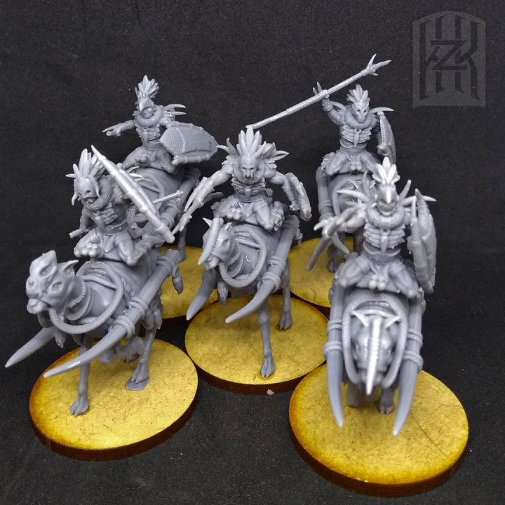 Far South - Camel Riders