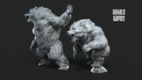 Giant Bears