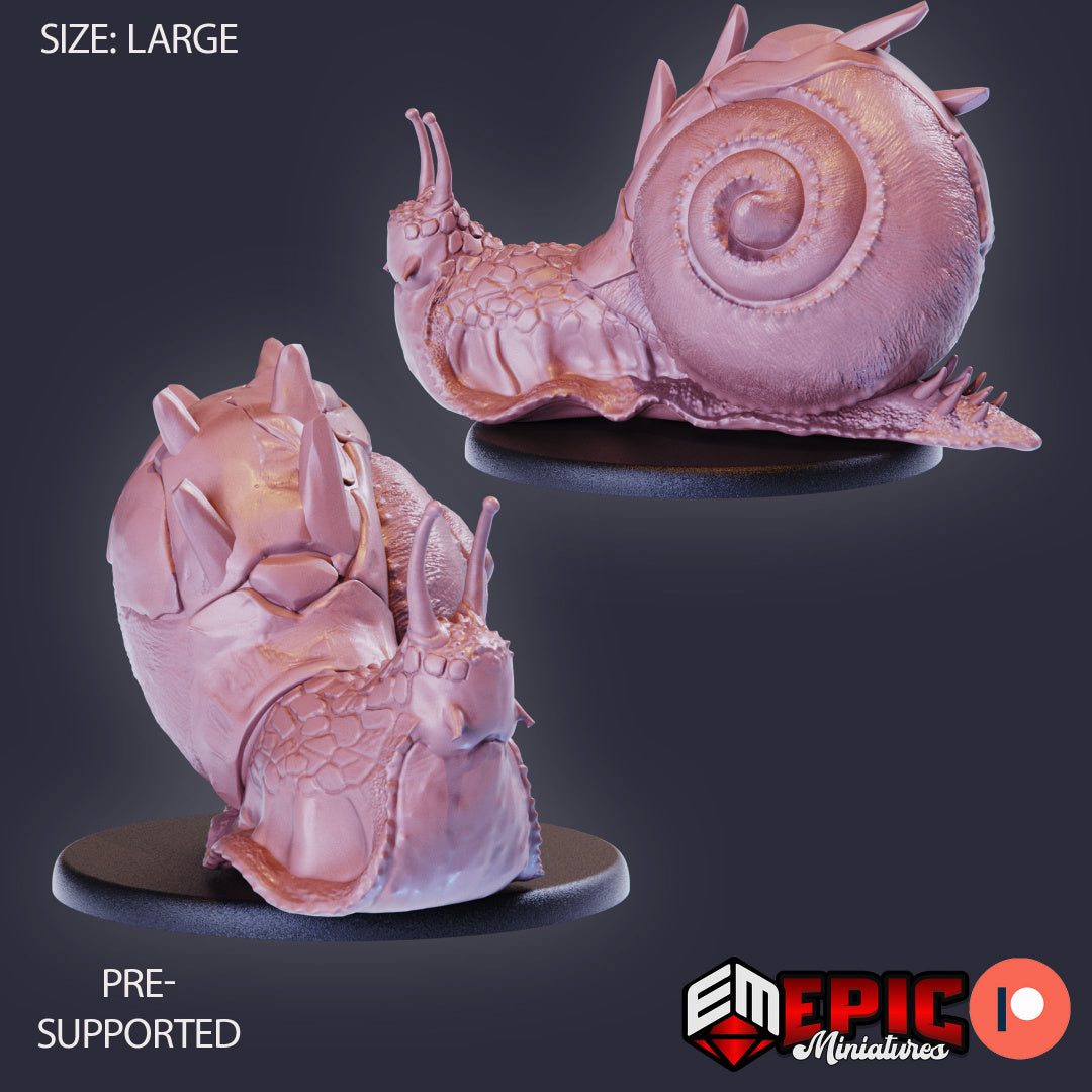 Boulder Snail