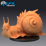 Boulder Snail